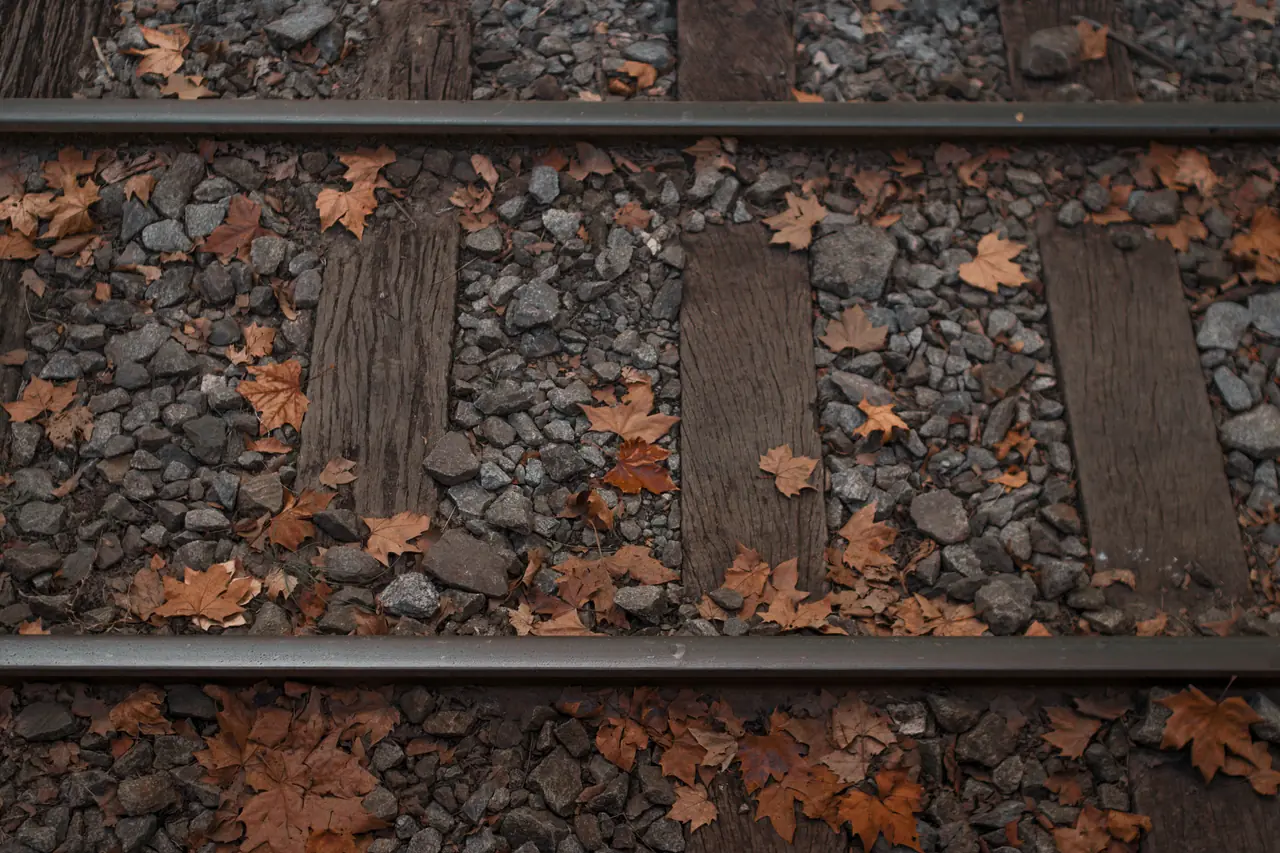 Railroad tracks. Photo by Felipe Pelaquim availableat Unsplash.