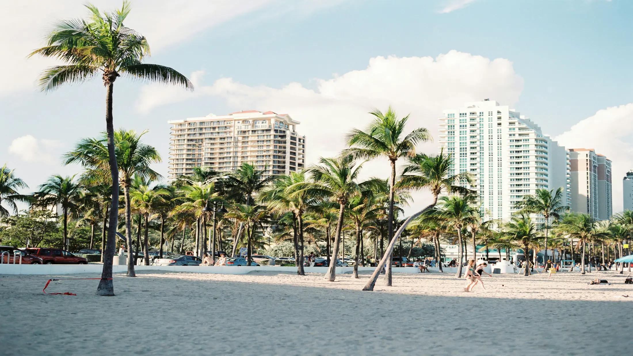 Highrises in the back behind palm trees. Photo by Aurora Kreativ