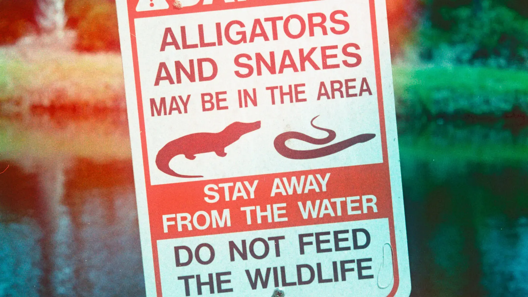 A warning sign about crocs and snakes. Photo by Gemma Evans