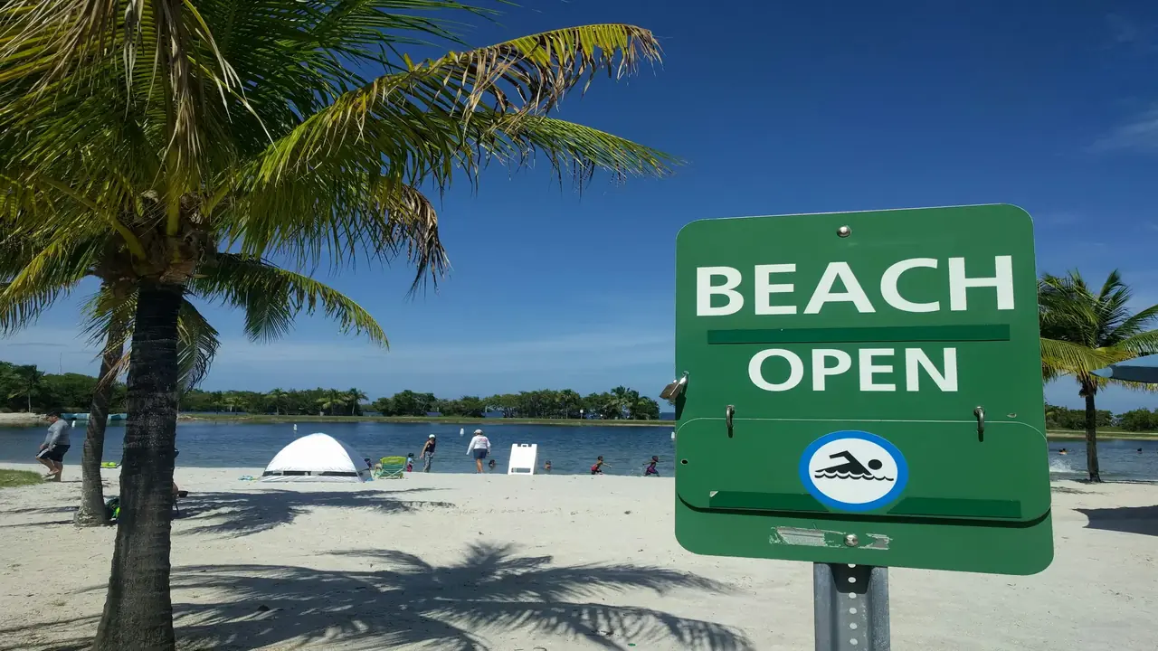Green 'BEACH OPEN' sign near a sandy beach with palm trees and people in the background